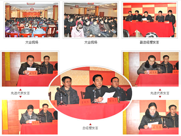 扬州福克斯减震器有限公司2011年度总结表彰大会