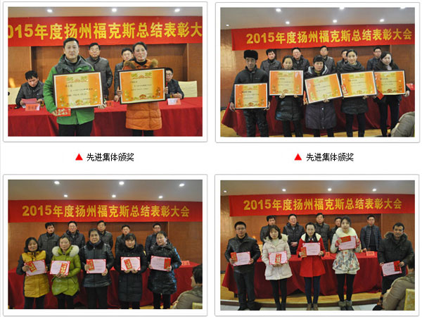 扬州福克斯减震器有限公司2015年度总结表彰大会